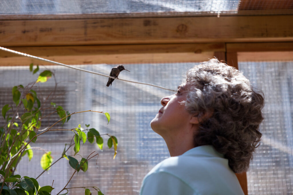 A person with curly hair stands indoors, tilting their head back to observe a small bird perched on a rope above them amidst some foliage.