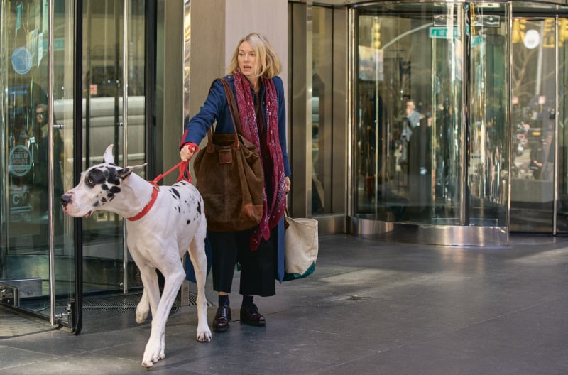 A woman with a red scarf holds the leash of a large Great Dane while leaving a building with revolving doors.