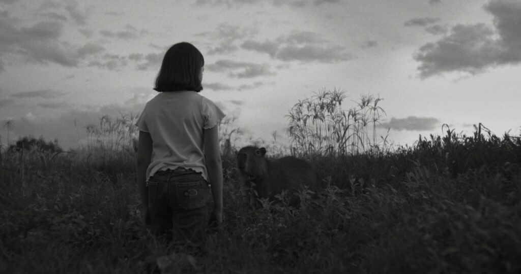 A child stands in a grassy field facing a capybara under a cloudy sky. The scene is in black and white.