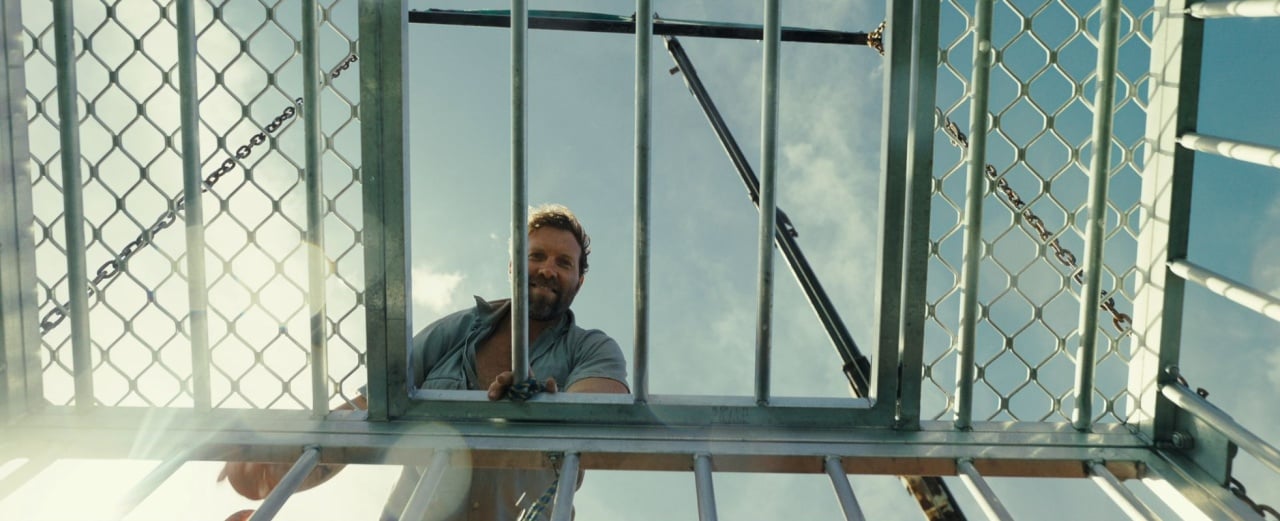 A man looks down through a metal grate under a blue sky, framed by fencing and chains, with the sun shining from the lower left corner.