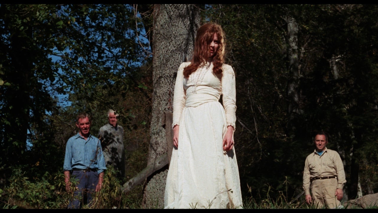 A woman in a white dress stands in front of a tree with three men in the background, outdoors in a wooded area on a sunny day.