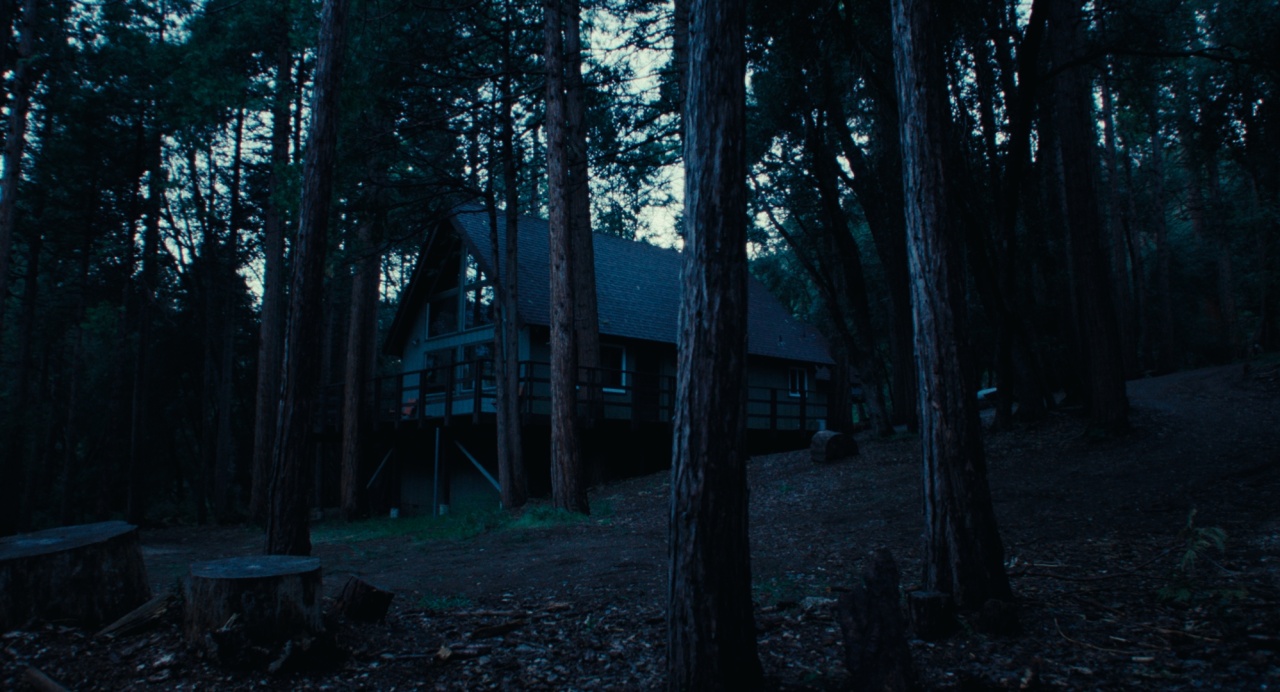A dark cabin with large windows stands among tall trees in a forested area at dusk.