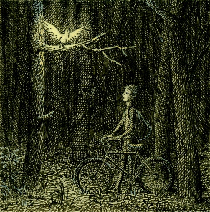 A person with a bicycle stands in a dark forest, looking up at a glowing bird perched on a tree branch.