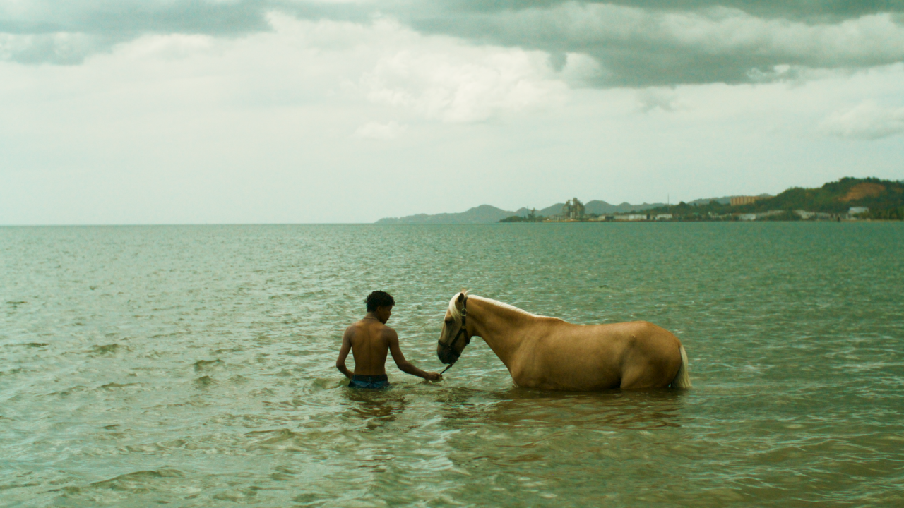 A person stands in shallow sea water, holding the reins of a tan horse. The sky is cloudy and land is visible in the distance.