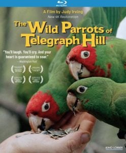 Blu-ray cover for "The Wild Parrots of Telegraph Hill" shows three green and red parrots eating from a person's hand, with film title and review quotes overlaid.
