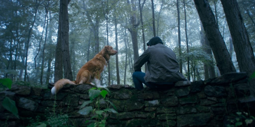A man and dog sitting on a stone wall in the woods.