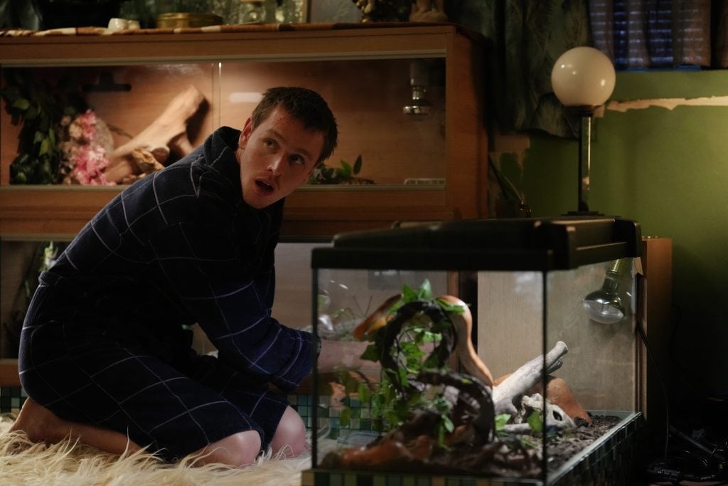 A person in a dark robe kneels on a rug, tending to a terrarium with plants and branches, while looking over their shoulder in a dimly lit room.