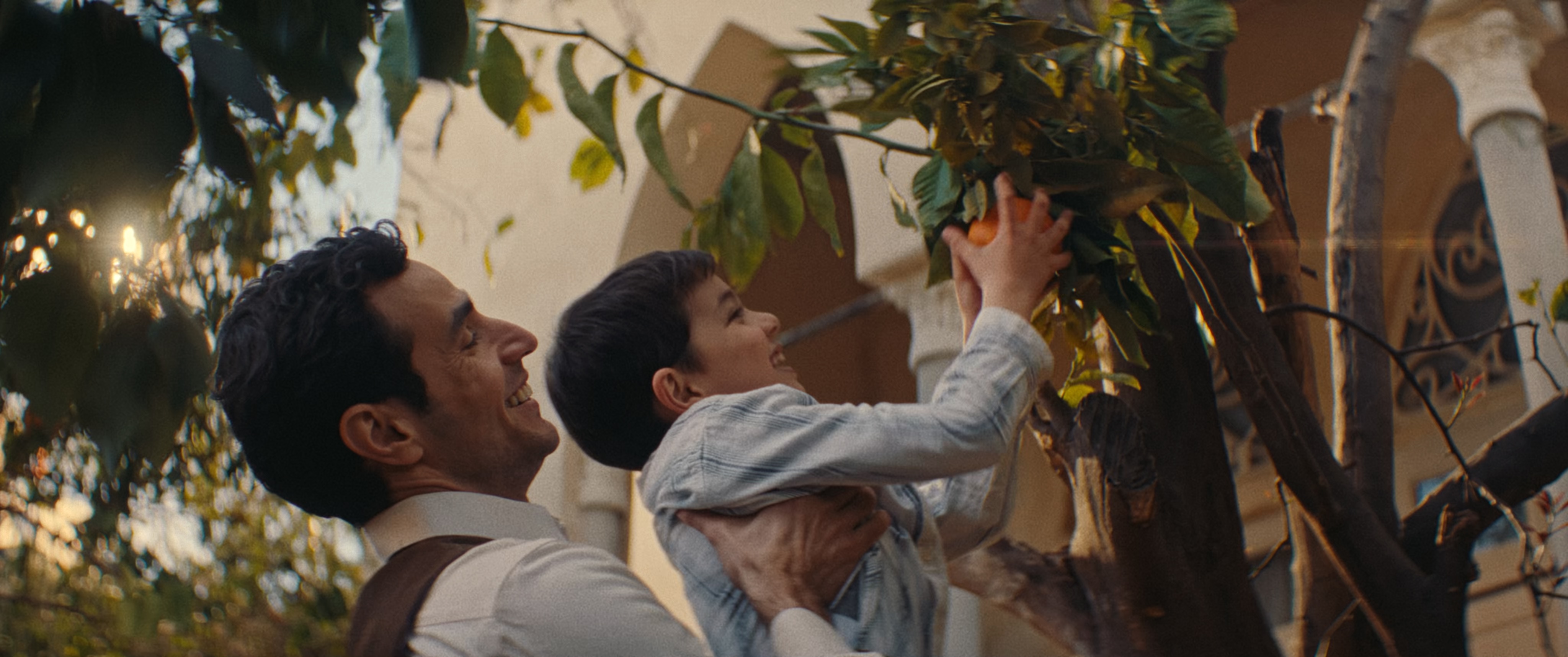 An adult lifts a child to help him pick an orange from a tree in a sunlit garden, with a building featuring columns in the background.