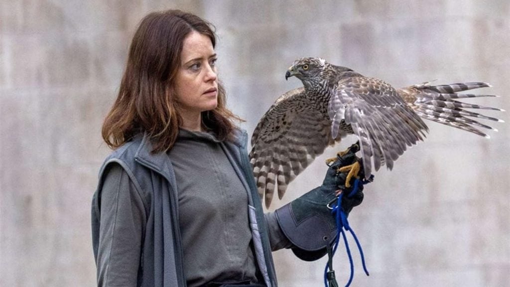 A woman wearing a glove stands holding a large bird of prey, likely a hawk or falcon, which perches on her gloved hand with its wings spread.