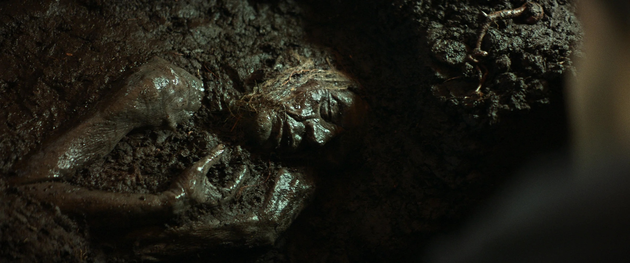 A human face and hand partially buried and covered in mud, blending with the surrounding earth.