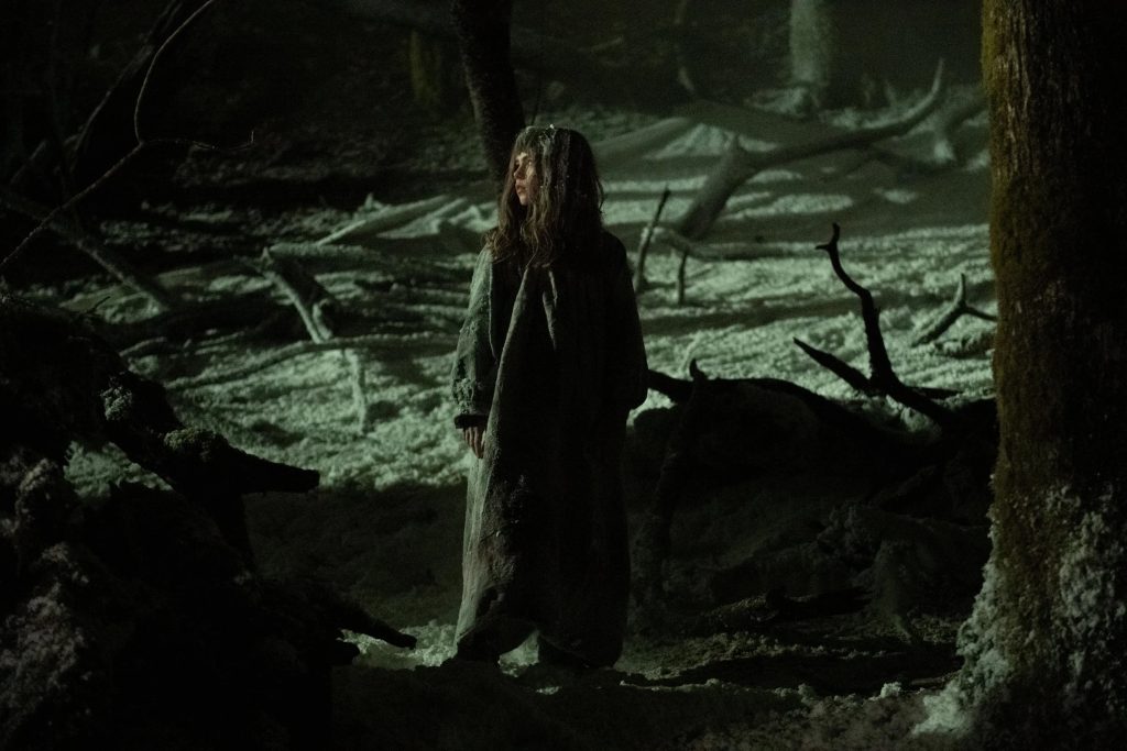A person in a long, tattered garment stands alone in a dimly lit, snowy forest surrounded by fallen branches.