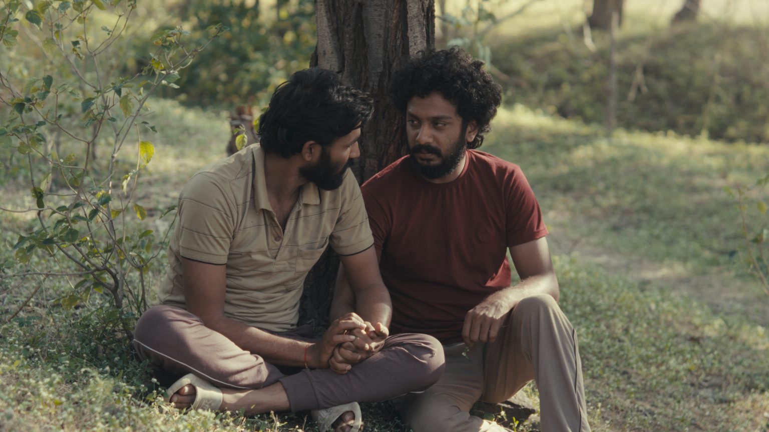 ‘Cactus Pears’ Review – A Deliberate, Beautiful Journey Into The Heart