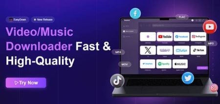 Best Free Video Downloader For PC In 2025: EasyDown Review