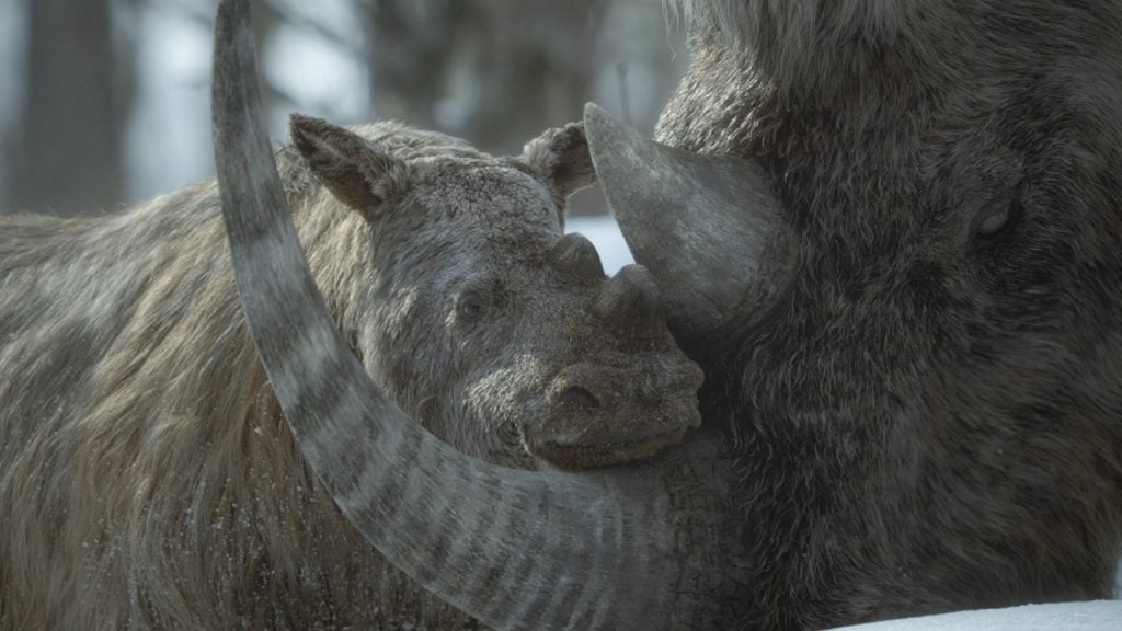 ‘Prehistoric Planet: Ice Age’ Review – A Profound Portrayal Of Forgotten Ecosystems And Their Stunning Animals