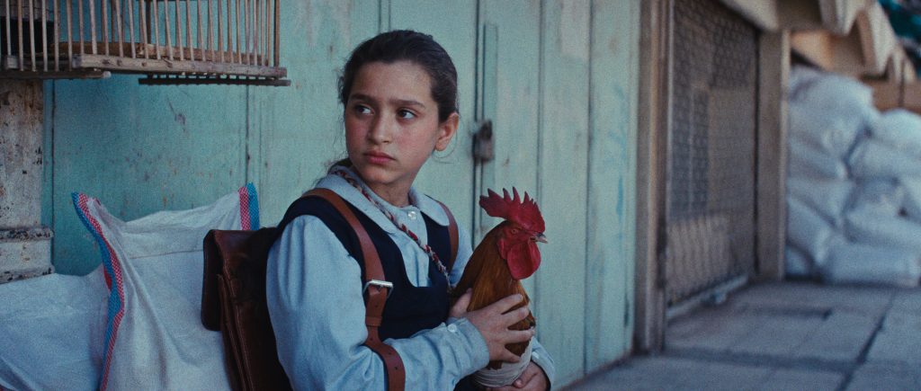 A young person in a school uniform holds a rooster while standing against a light blue wall near a cage and stacked bags.