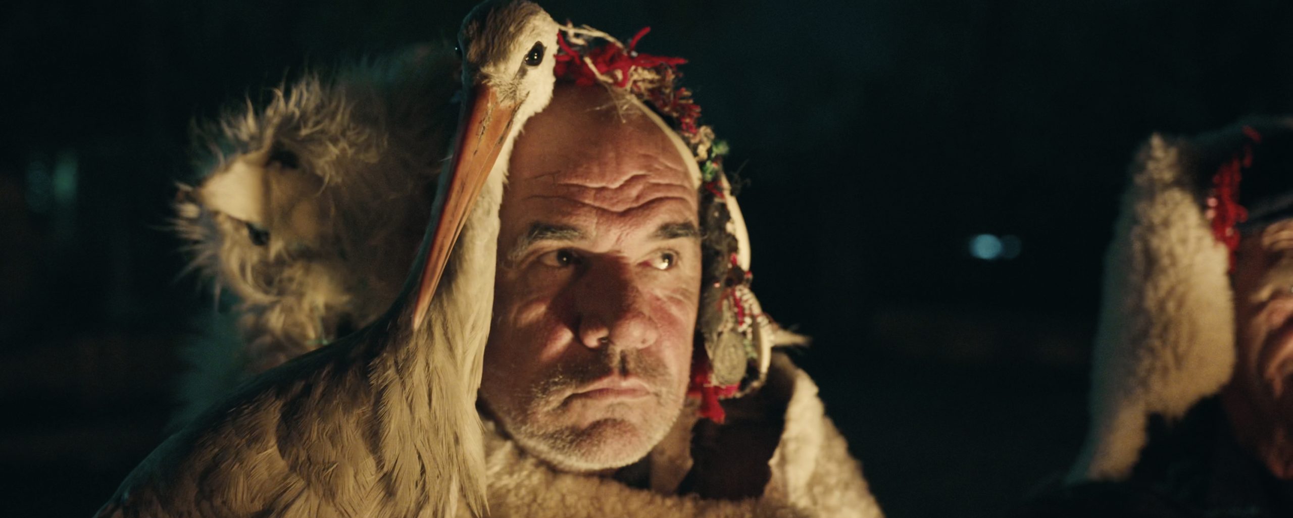 A man with a serious expression wears a fur garment and a headpiece featuring a white stork and decorative elements, standing in dim lighting.