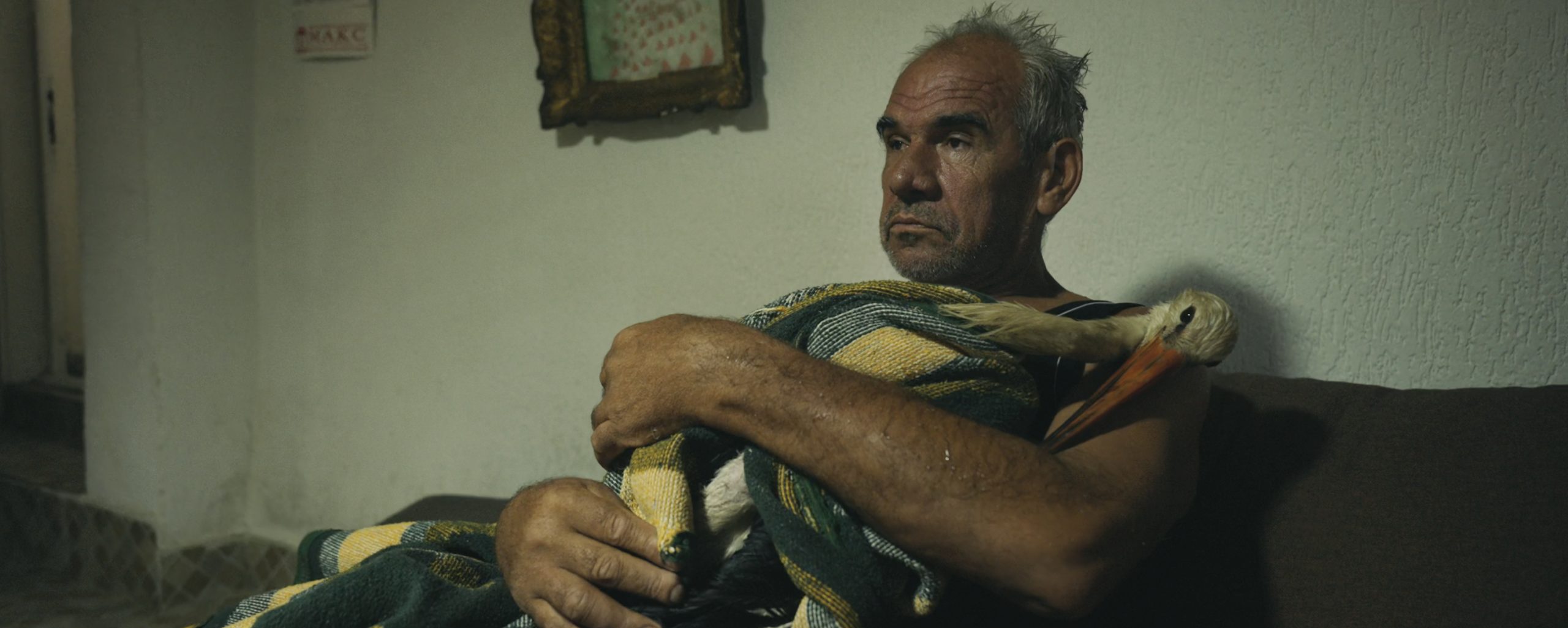 A middle-aged man sits on a couch indoors, holding a stork wrapped in a green and yellow blanket.