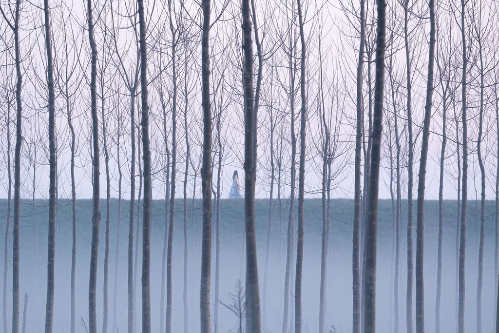 A person walks along a path behind leafless trees on a foggy day, with mist covering the ground.