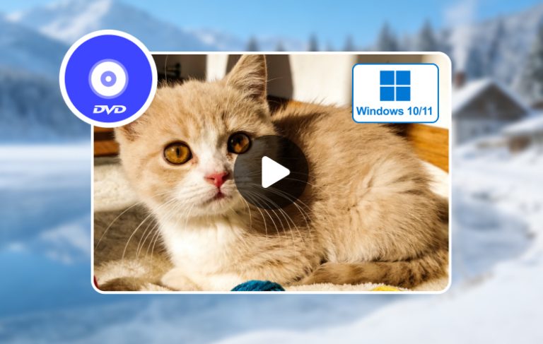 How To Play DVDs on Windows 10/11: A Step-by-step Guide