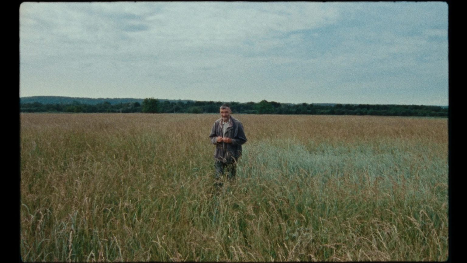 ‘7 Walks With Mark Brown’ Blu-Ray Review – A Tranquil Journey Through Nature