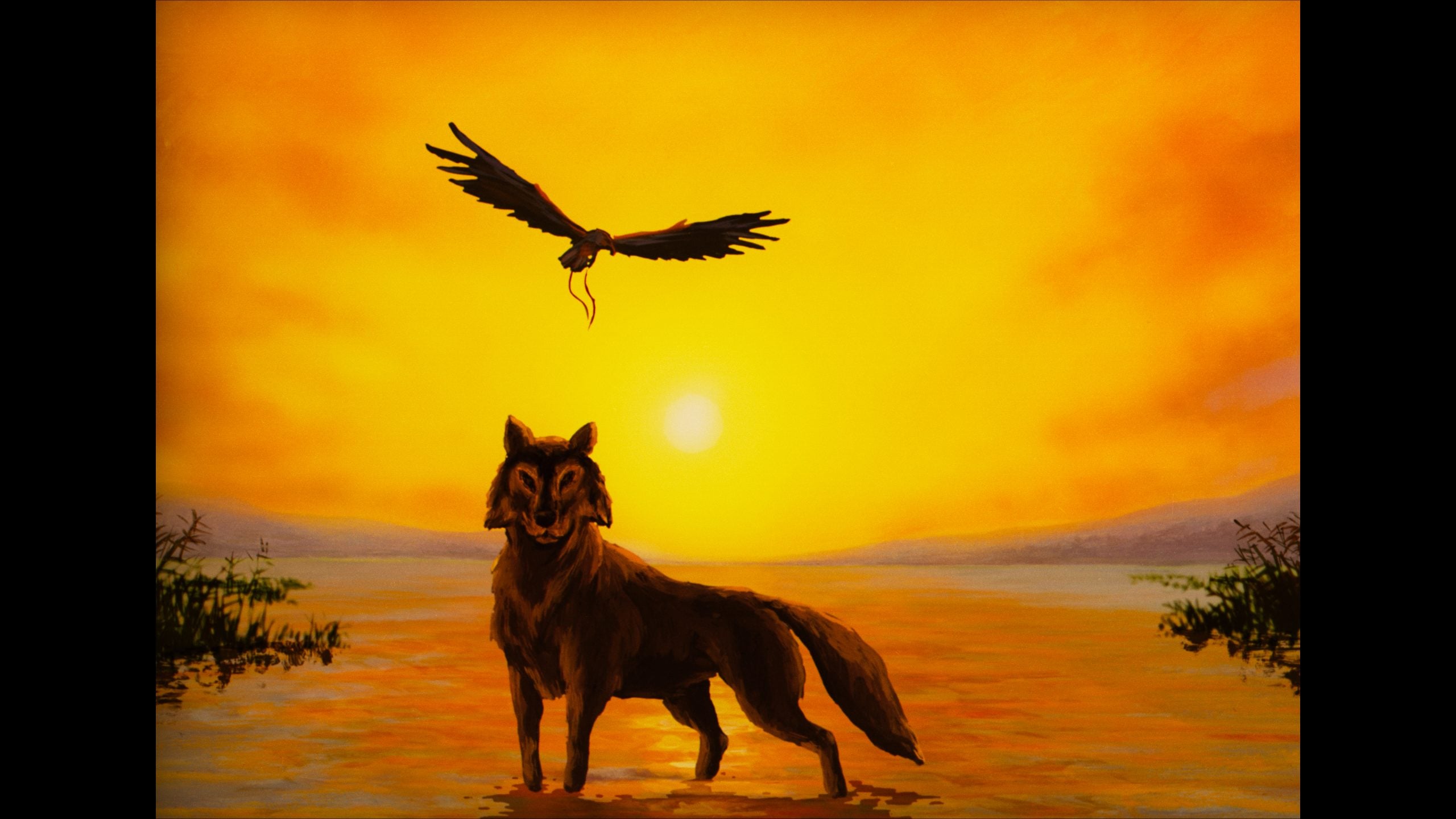 A wolf stands in shallow water at sunset while a bird of prey flies overhead against an orange sky.
