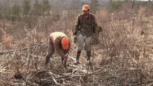 ‘A Thousand Pines’ Review – A Retrospective