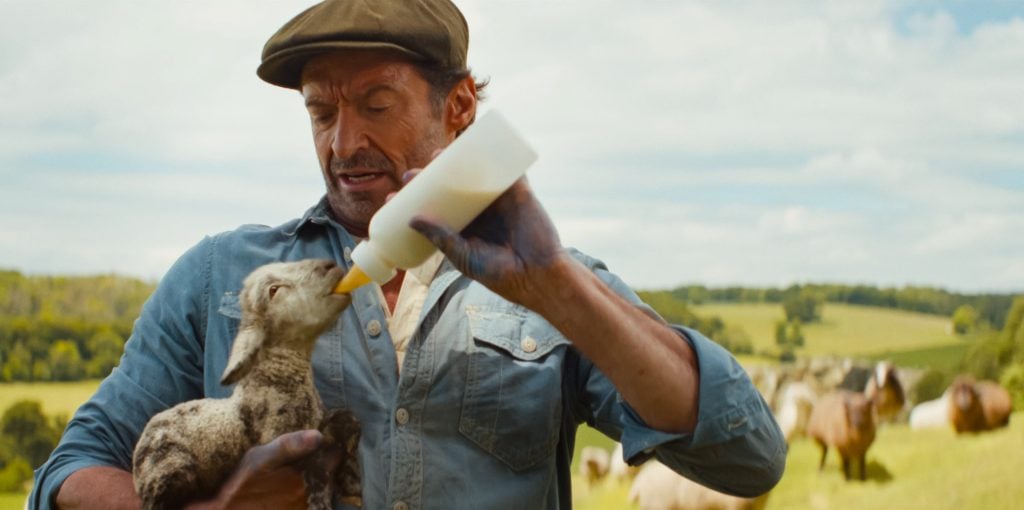 A man in a cap bottle-feeds a lamb outdoors in a grassy field with sheep grazing in the background.