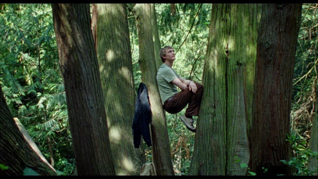 A man sits on a tree branch in a forest, looking upward. A black jacket hangs on a nearby tree trunk.