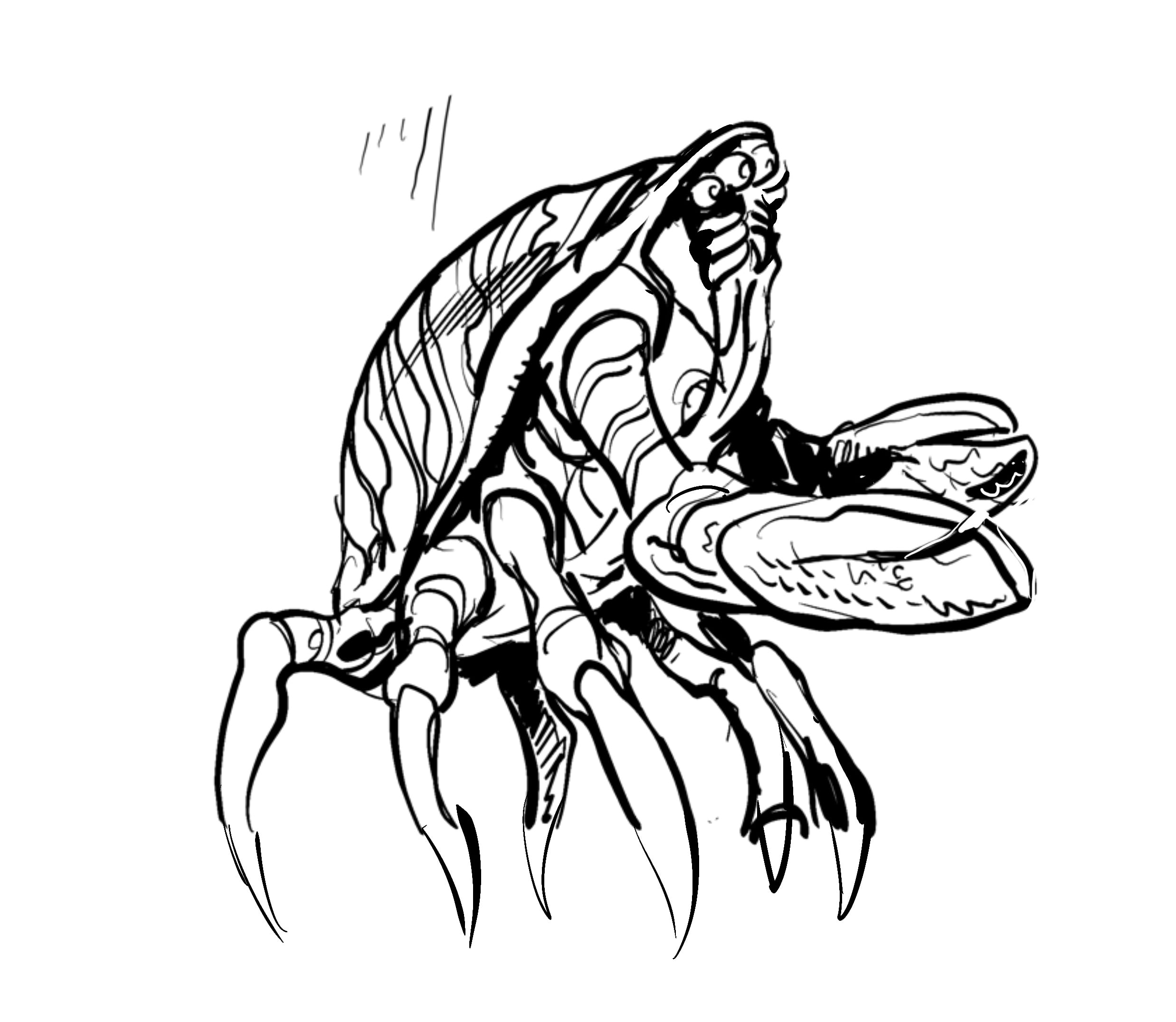 Black and white sketch of a crab-like creature with six legs, two large claws, and a detailed shell, facing slightly to the right.