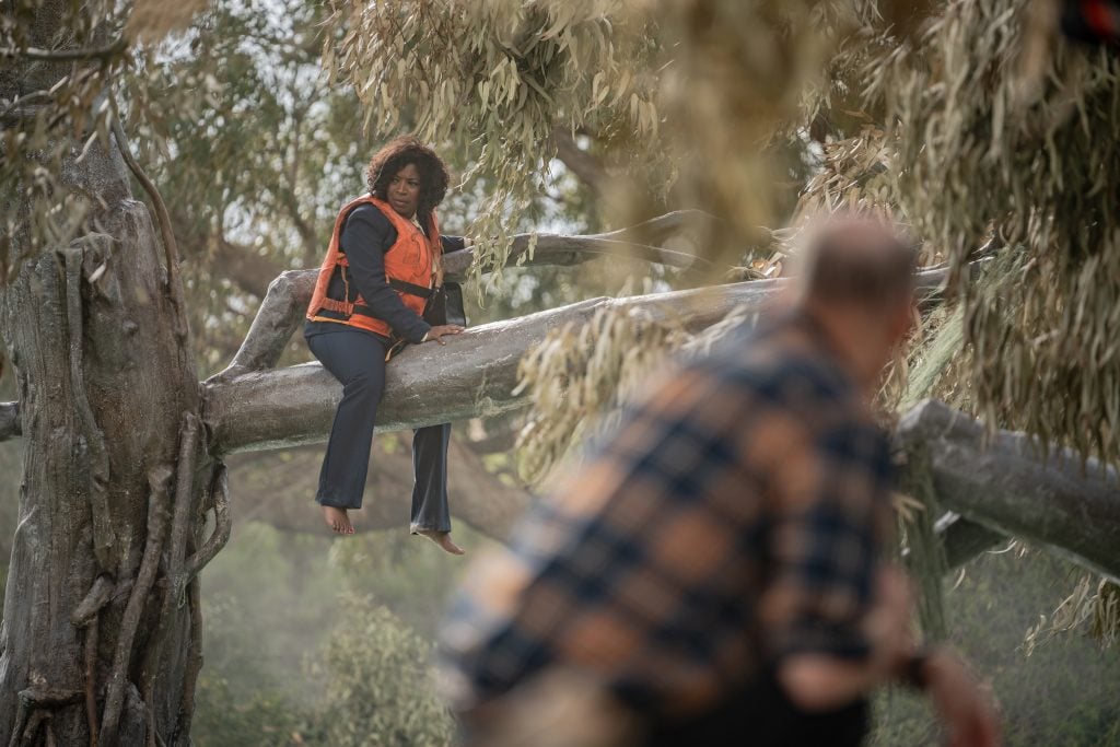 Climber woman sitting on a tree branch in a forest setting.