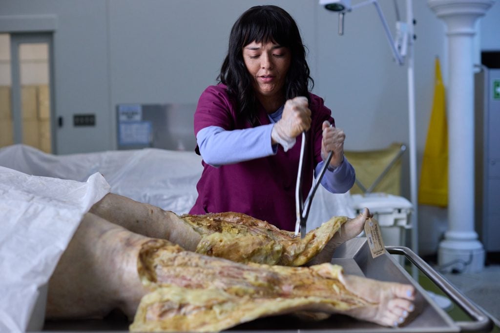 A person wearing scrubs and gloves examines a cadaver on a table in a clinical or laboratory setting.
