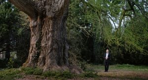 ‘Silent Friend’ Review – Time And Human Connection Across Generations