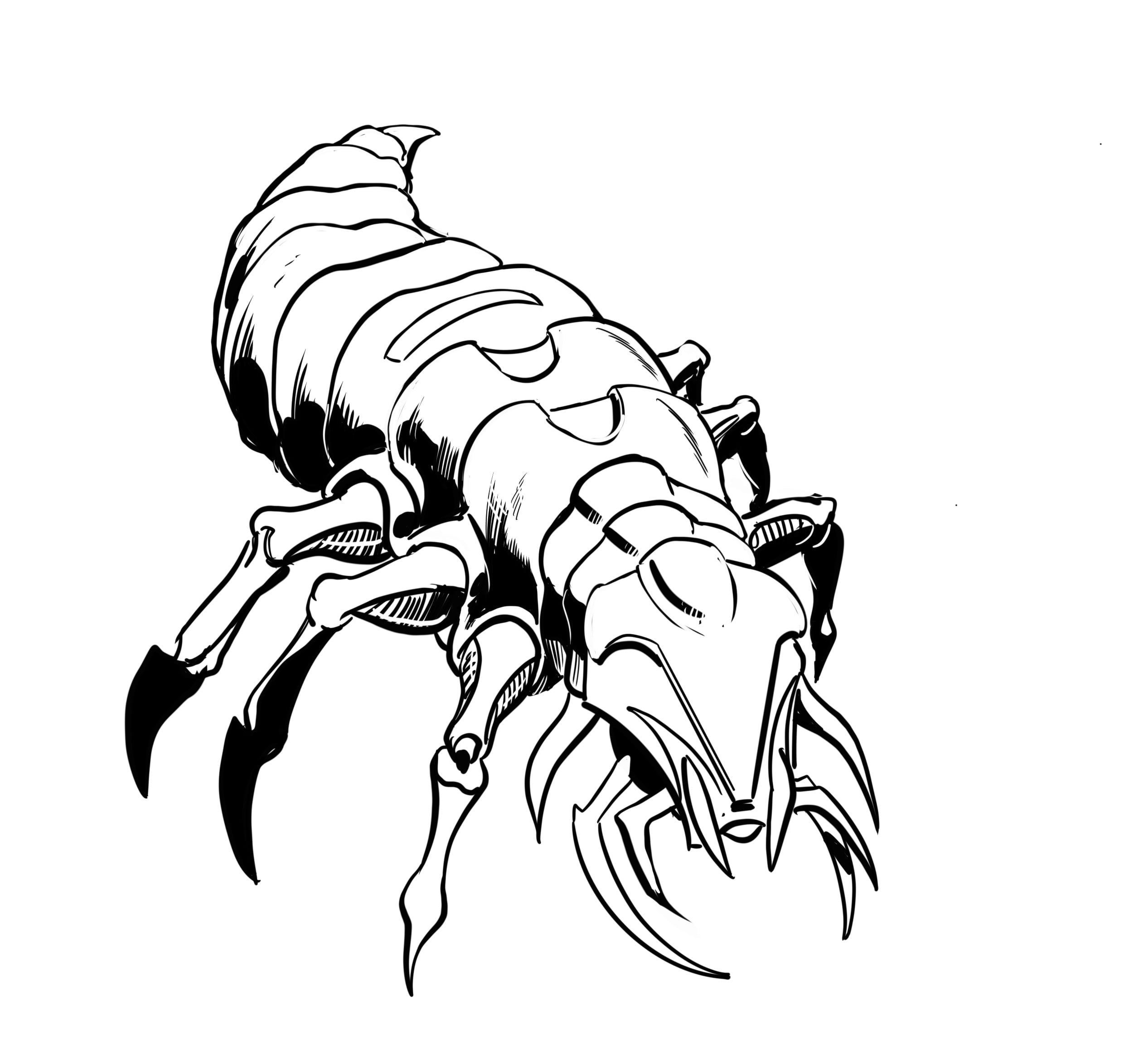 Black and white line drawing of a close-up insect resembling a tick, showing segmented body, six legs, and detailed head with pincers.