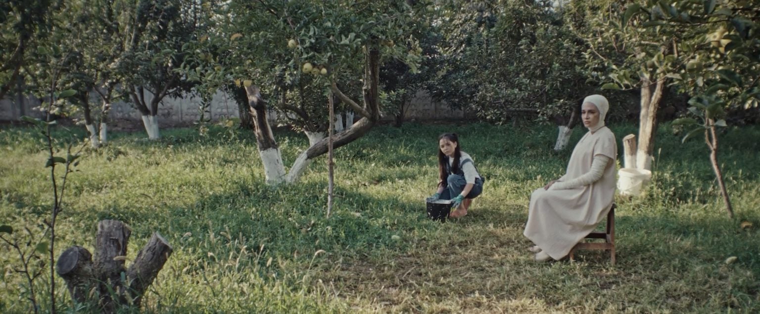 A woman in a light dress sits on a chair, while a child crouches beside a basket in a grassy orchard with several fruit trees.