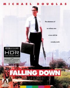 A man in a white shirt and tie stands on concrete debris holding a briefcase, with a city skyline in the background. Text reads: “FALLING DOWN” and features Michael Douglas.