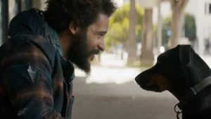 A man with a beard and plaid jacket faces a black and brown dog outdoors, making eye contact on a sidewalk with trees in the background.