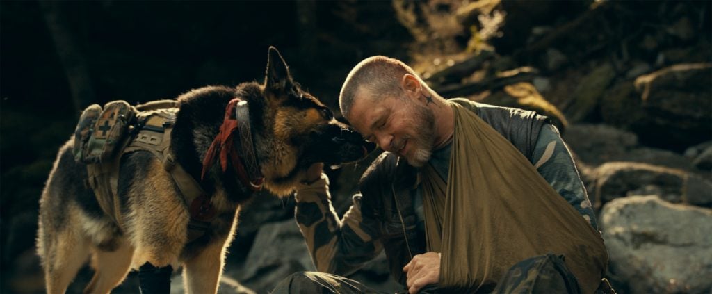 A man with a bandaged arm sits on rocks, smiling and touching foreheads with a German Shepherd wearing a harness.