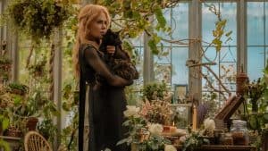 Warner Bros. To Release The Spellbinding Sequel ‘Practical Magic 2’ On 4K UHD Blu-Ray This December A woman with long blonde hair in a black dress stands in a greenhouse holding a black cat, surrounded by plants, flowers, and gardening supplies.