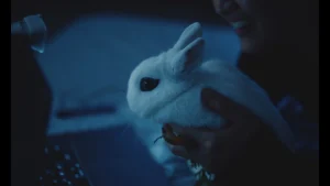 a woman holding a white rabbit