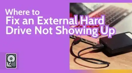 External Drive Not Showing Up? Protect Your Files First